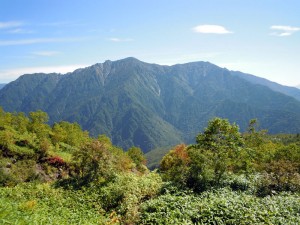 中ノ湯コースから見た霞沢岳