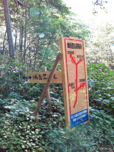中尾温泉郷から舗装された林道を登っていくと、焼岳へ向かう登山道の入口が見えてくる
