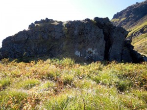 焼岳・旧中尾峠にある「王蟲の化石」